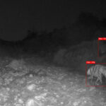 85% Human. Printed CCTV stills